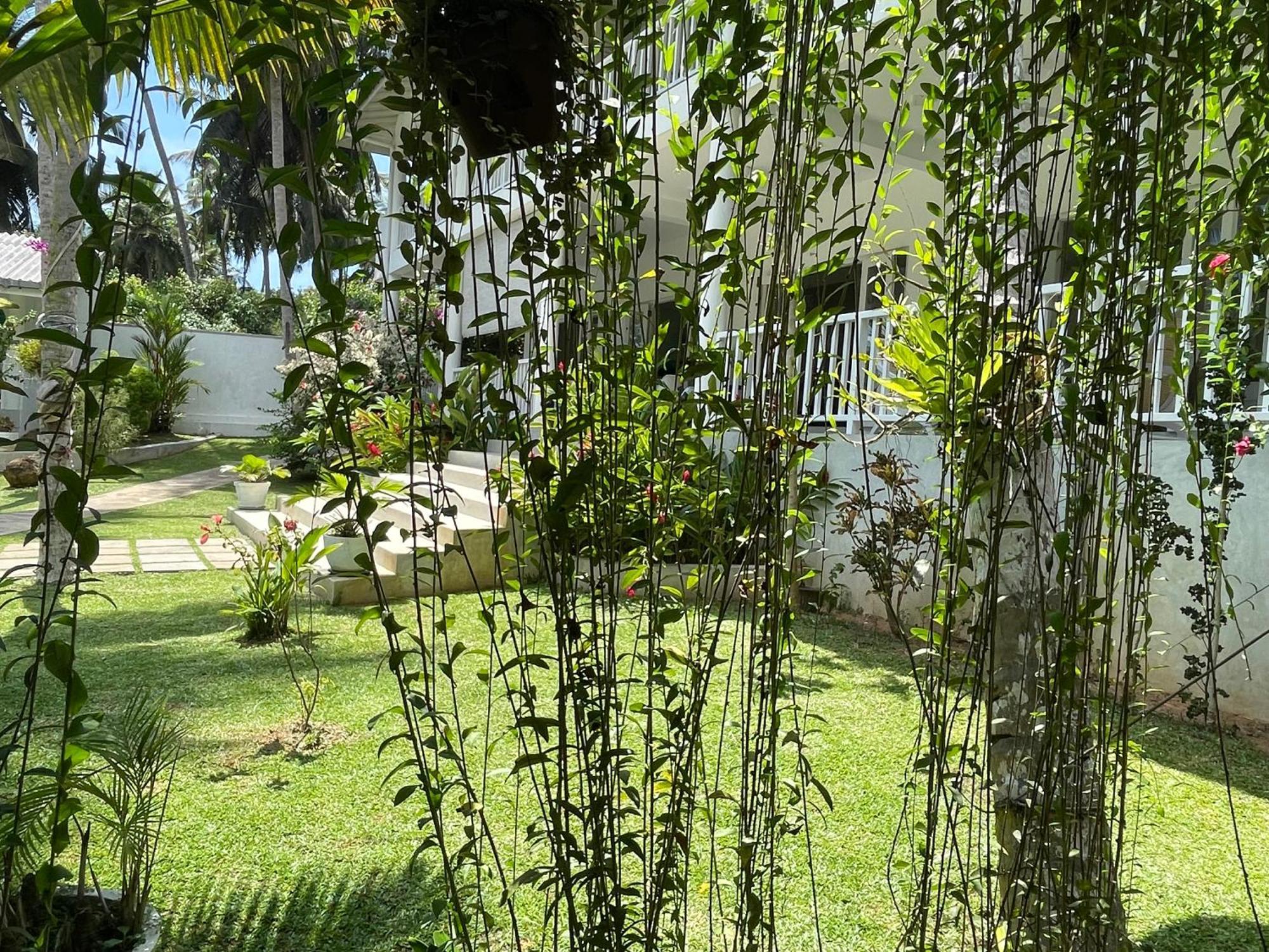 Plantation House Hotel Hikkaduwa Exterior photo